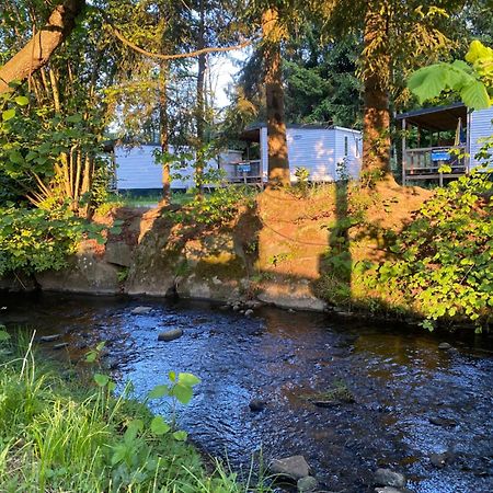 S-Chalet Camping Mit Comfort Im Schwarzwald Steinach  Buitenkant foto