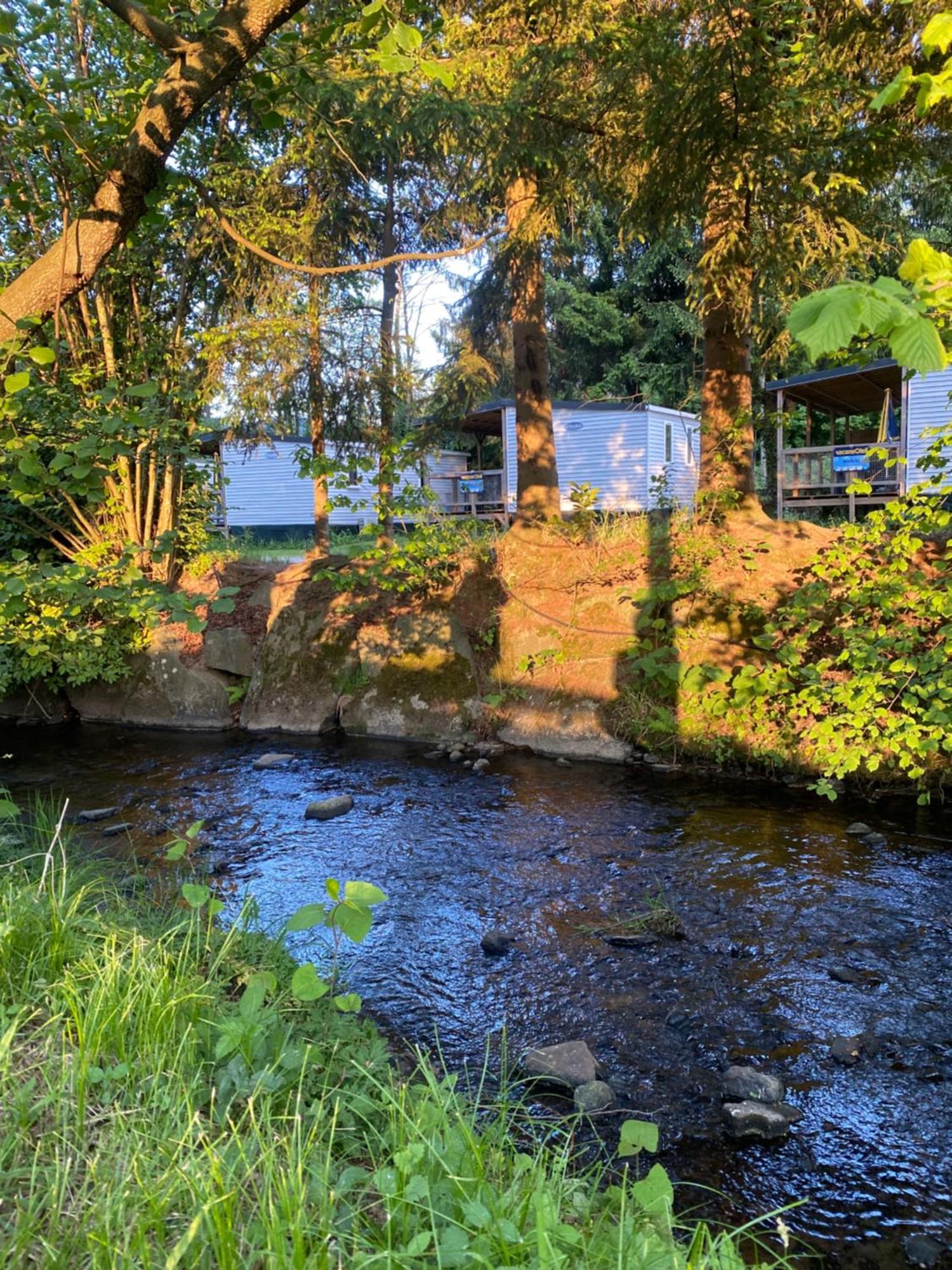 S-Chalet Camping Mit Comfort Im Schwarzwald Steinach  Buitenkant foto